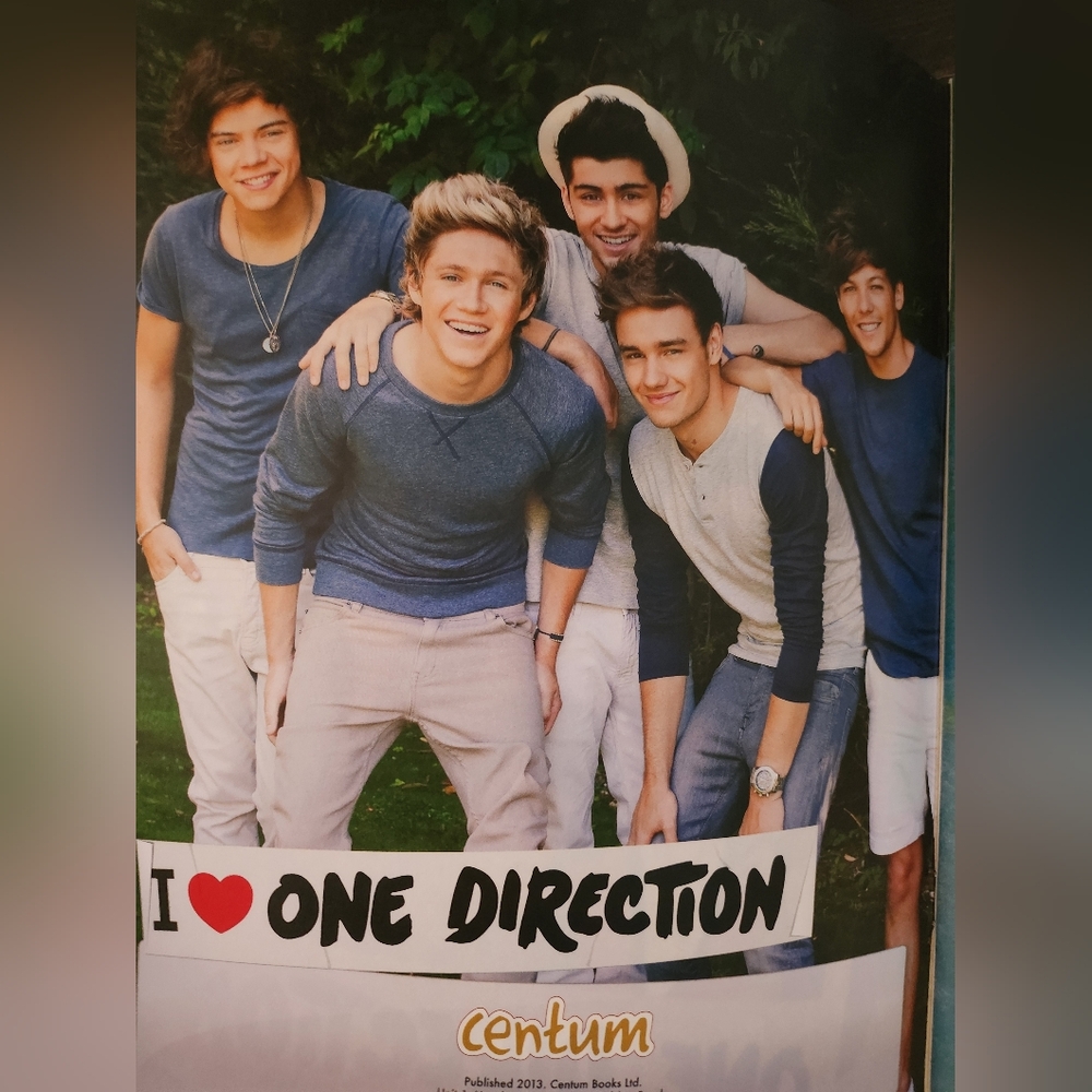 One Direction Ultimate Fan Book - Picture 3 of 16
